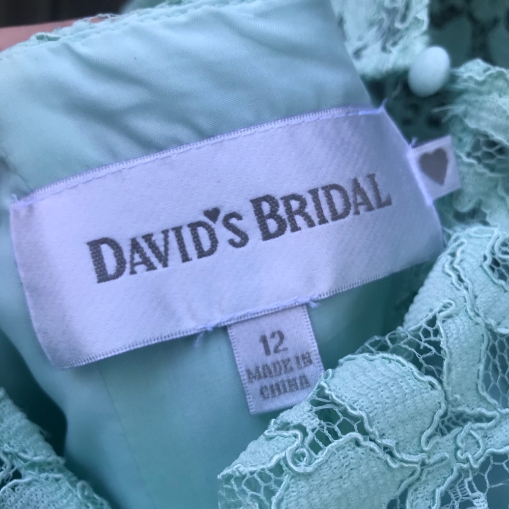 David’s Bridal Short Lace Dress - Picture 3 of 4